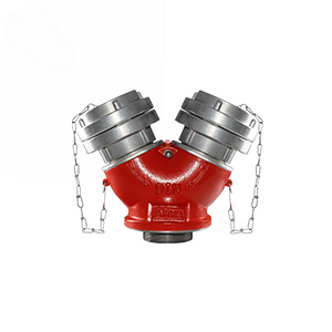 شیر آتش نشانی سیامی